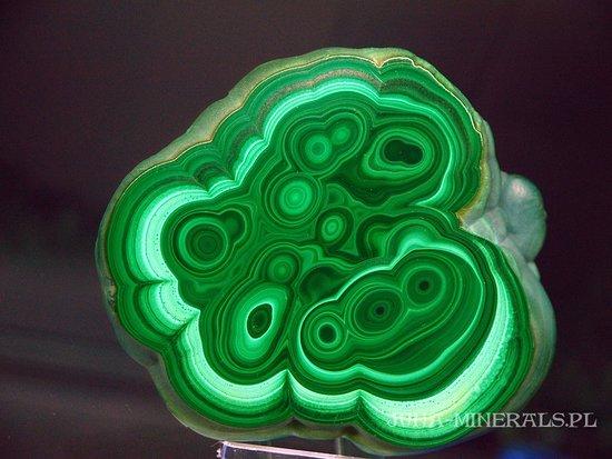 Muzeum Skarby Ziemi Juna